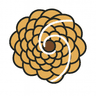 Fibonacci Discipline